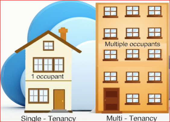 Multi tenant of single tenant ERP